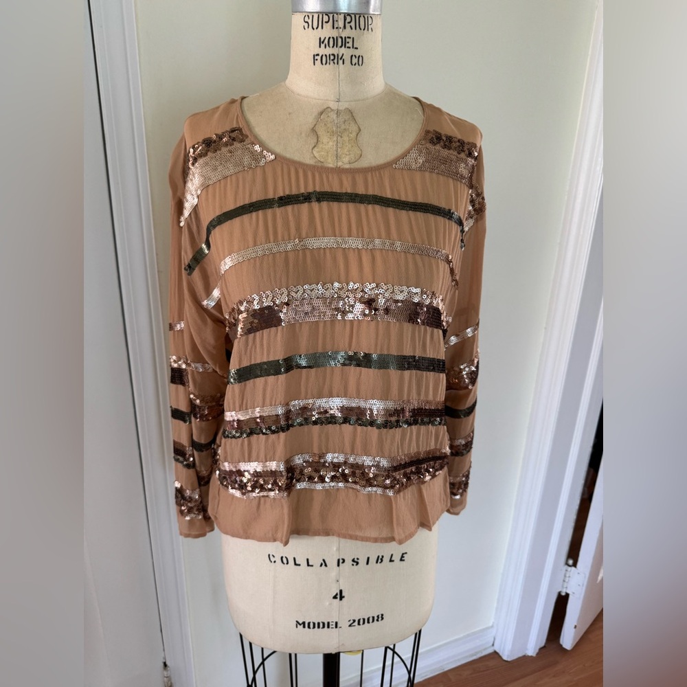100% Silk Sequin Striped Long Sleeve Top